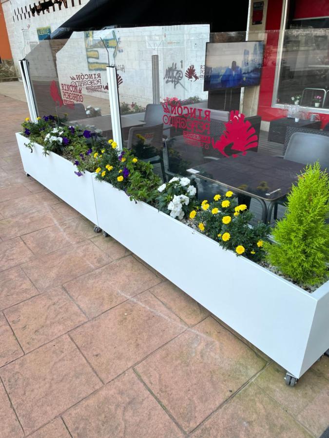 Albergue Rincon Del Peregrino Porrino-Pleno Centro-City Center מראה חיצוני תמונה